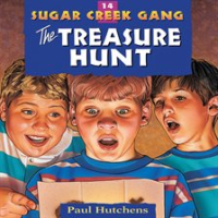 The_Treasure_Hunt